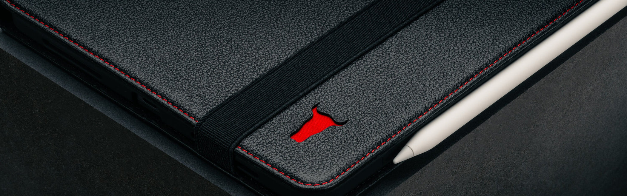 Apple iPad Pro Cases
